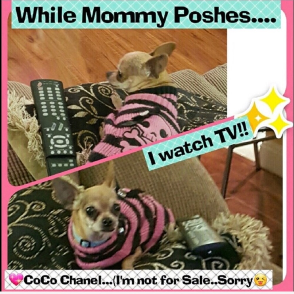 🔥🔥SUPER SALE🔥🔥☺️LIFE IS GUCCI!! - Picture 4 of 14